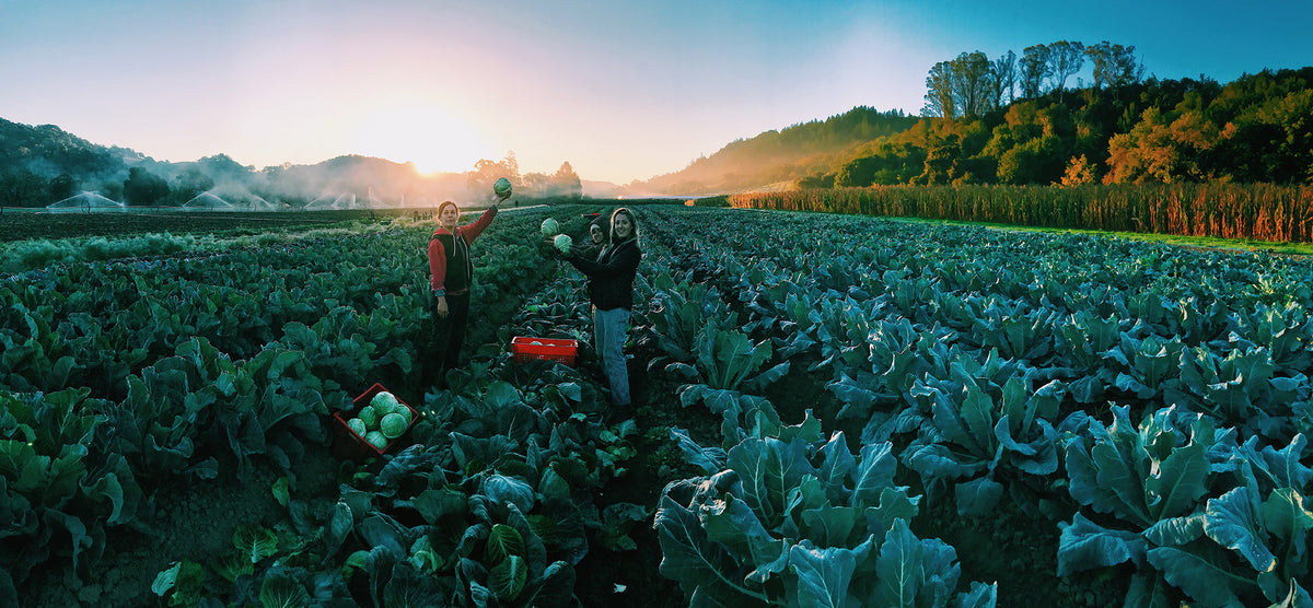 Farmily First at Front Porch Farm – Growers & Co.