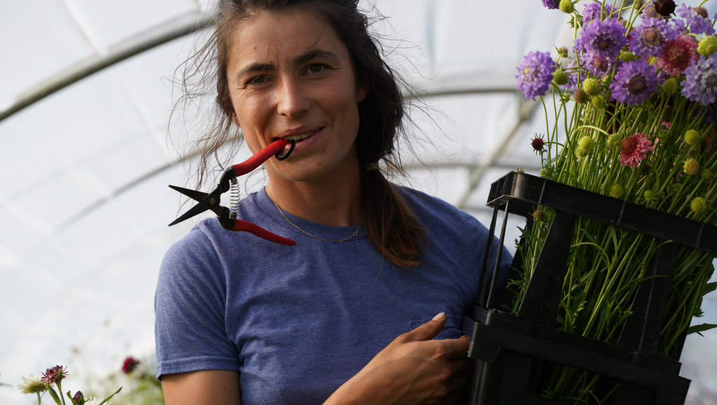 Floramazette - An Inspiring Organic Flower Farm