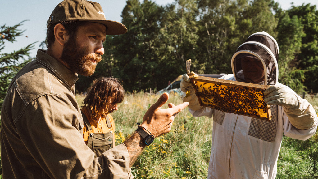 Melifera - Beekeeping on the roads of Quebec