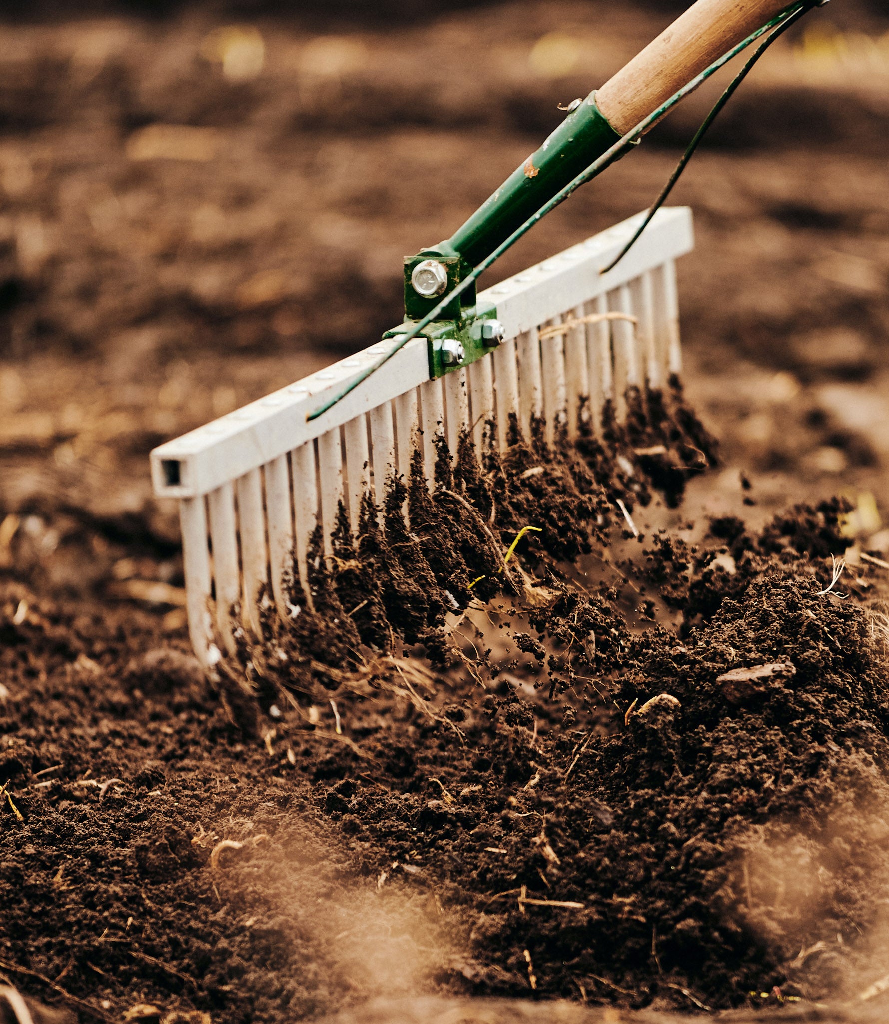 Bed Preparation Rake – Growers & Co.